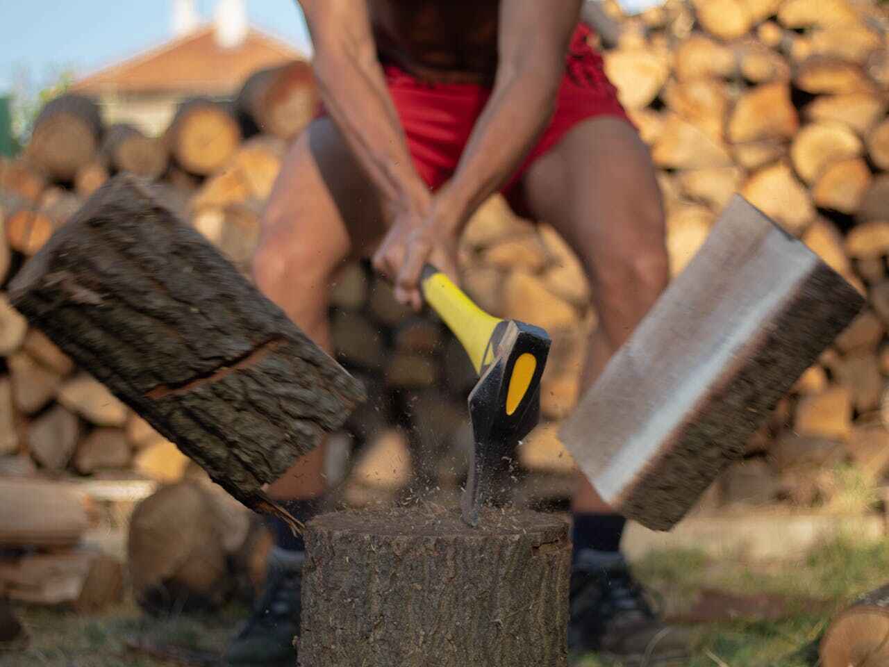 Best Stump Grinding Near Me  in Marion Oaks, FL